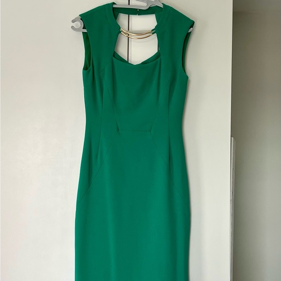 BCBG vibrant classy green dress with gold features around the neck line - Picture 5 of 5
